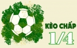 Kèo 1/4 là gì? – Thông tin về kèo 1/4 chi tiết nhất
